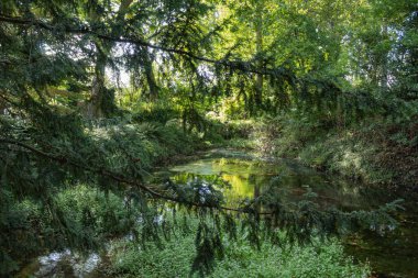 Gijon 'un botanik bahçesindeki nehir.