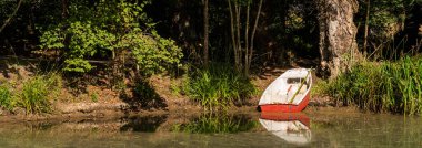 Botanik bahçesine giden diğer aylaklar için ahşap bank. 