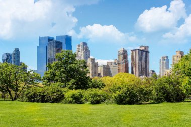 Güneşli New York şehrinin ikonik manzarası baharda gelişen Central Park 'ın ufuk çizgisi, ön planda çimenler, çalılar ve ağaçlarla