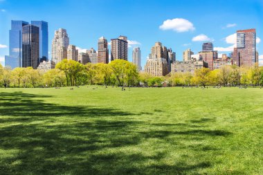 Güneşli bir New York şehrinin ikonik manzarası baharda Central Park 'ın gelişmesini engelliyor, güneşli bir günde insanların havanın keyfini çıkartıyor. 