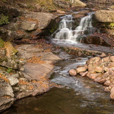 Sırbistan 'ın Eski Dağ (Stara Planina) kentindeki Arbinje doğa parkında çağlayan dağ deresi ve kayalık kıyıların güzel sonbahar renkleri kırmızı yapraklarla kaplı
