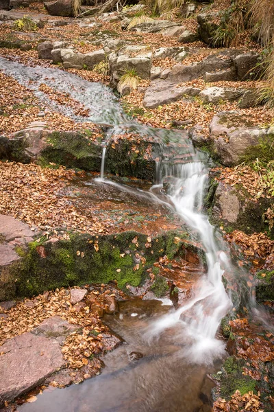 Lindas Cores Outono Riacho Montanha Cascata Banco Rochoso Coberto Com — Fotografia de Stock