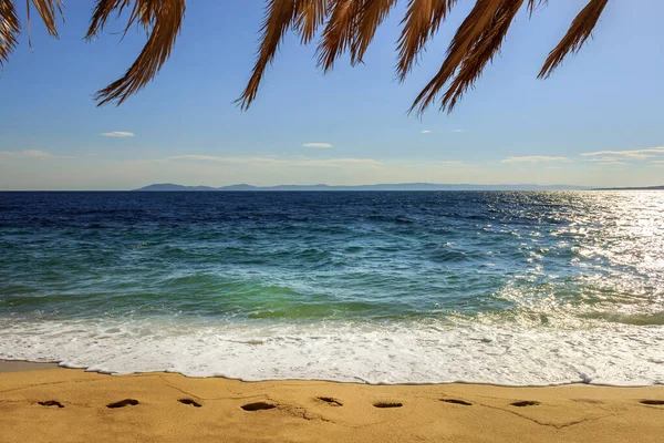 Foamy Sea Waves Golden Sand Footsteps Dry Palm Tree Branches — Stock Photo, Image