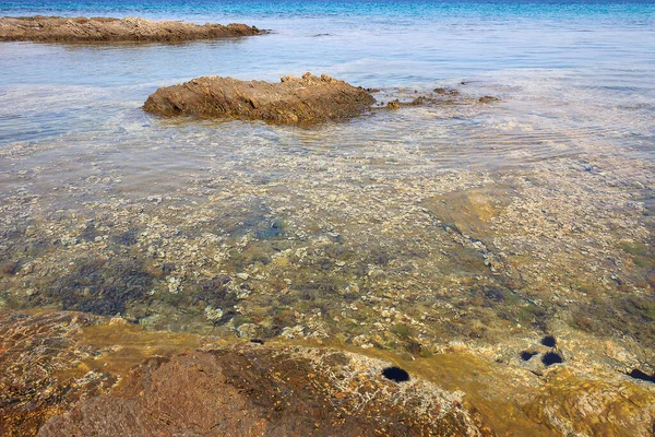 穏やかな半透明のターコイズブルーの海 美しい岩礁と水中の海の生き物 — ストック写真