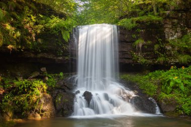 Sırbistan 'ın Senokos kasabası yakınlarındaki Eski Dağ' daki Skok şelalesinin ön manzarası, uzun süre açık ipek beyaz su ve koyu, ıslak kayalar yeşil bitkilerle kaplı