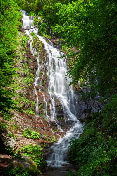 Krachtige Pilj Waterval Oude Berg Stara Planina Servië Trapsgewijs Door — Stockfoto