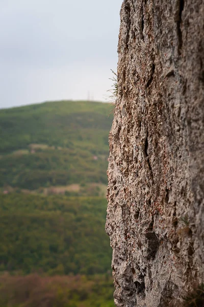 緑の森の木々に覆われた焦点の丘のうち 赤い苔と背景を持つ前景垂直岩崖に選択的な焦点 — ストック写真
