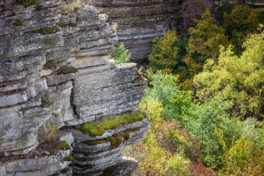 Katmanlı yamaç, Sırbistan 'ın Balkan dağlarındaki Rosomac nehrinin kanyonunda güneş ışığı, yeşil yosun ve sonbahar renkli arkaplan ağaçlarıyla kaplı