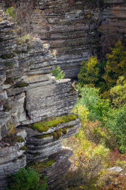 Katmanlı yamaç, Sırbistan 'ın Balkan dağlarındaki Rosomac nehrinin kanyonunda güneş ışığı, yeşil yosun ve sonbahar renkli arkaplan ağaçlarıyla kaplı