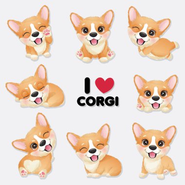 Suluboya koleksiyonu olan şirin bir Corgi.