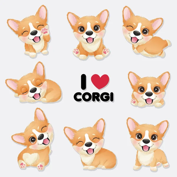 Söt Liten Corgi Med Akvarell Samling — Stock vektor