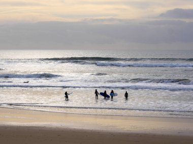 bir okyanus sahilinde sörf tahtası taşıyan sörfçü insanlar