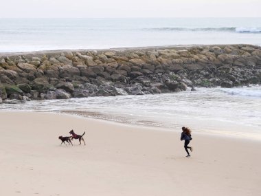 sahilde koşan ve oynayan köpeklerle kız