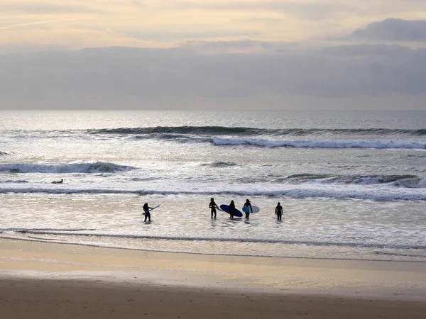 bir okyanus sahilinde sörf tahtası taşıyan sörfçü insanlar