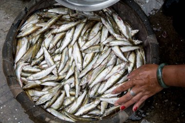 Dali şehrinde, Çin 'de, Yunnan' da, pazarda taze balık var..