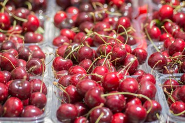 Taze olgun kırmızı kirazlar (Prunus avium) plastik kutularda satılmaya hazırdır.