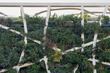 Yeşil bina - çevre dostu mimari, fabrikaları birleştiren bir bina, Tel Aviv, İsrail