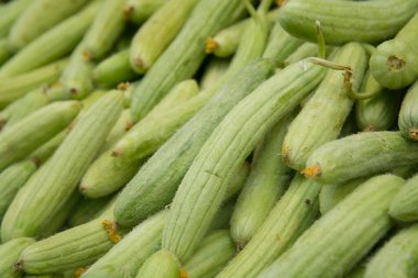 A pile of fresh Armenian cucumber (Cucumis melo var. flexuosus) for sale in the Mahane Yehuda market, Jerusalem, Israel clipart