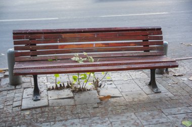Doğa, Covid-19 tecridi sırasında gelişiyor.