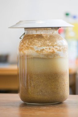 Romanya ve Moldova mutfağında buğday ve mısır unundan geleneksel ekşi çorba yapmak için kullanılan mayalanmış bir sıvı olan ev yapımı Bors veya Borsh kavanozu.