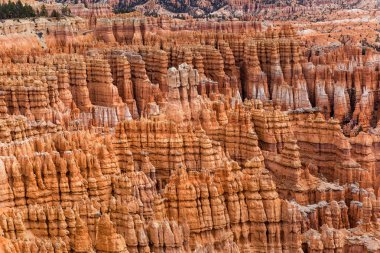 Benzersiz Hudu kaya oluşumları Bryce Canyon Milli Parkı'nda Utah, ABD