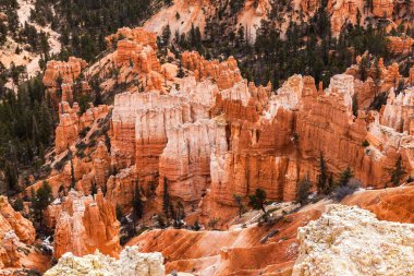 Canlı kumtaşı kaya, Utah, ABD Bryce Canyon Milli Parkı