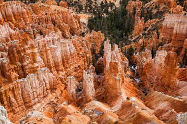 Üst görünümünü Closeup Hudu kayalar Bryce Canyon Milli Parkı'nda Utah, ABD