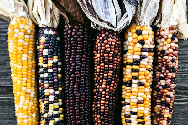 彩色印度玉米在秋季季节装饰的木质背景下的耳朵 — 图库照片