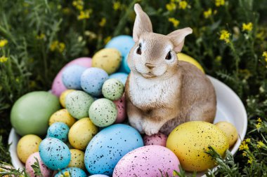 Bahar çim arka plan üzerinde Paskalya Yumurtaları ile Bunny Closeup