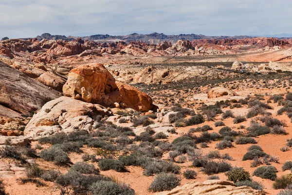 Kamienna Pustynia i formacje skalne w Valley of Fire State Park, L — Zdjęcie stockowe