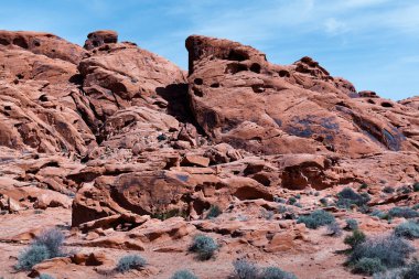 Ateş Sta Vadisi'ndeki taş çölde kaya oluşumları ve çalılar
