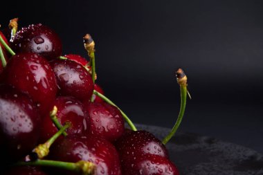 Yan görüş ve sol çerçeve. Taze, ıslak, koyu kirazlı Macro. Su, saplı parlak koyu kırmızı meyvelerin üzerine damlıyor. Metin için boşluk olan siyah arkaplan