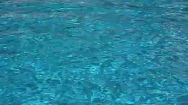 Kristallklares Türkisfarbenes Wasser Pool Als Hintergrund — Stockvideo
