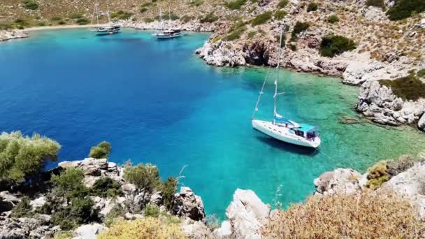 Barco Vela Cor Bonita Turquesa Mar Limpo — Vídeo de Stock