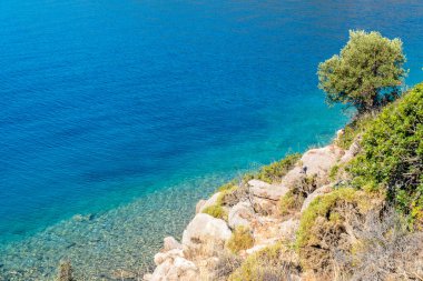 Ege kıyısından güzel bir manzara. Büyük kopya alanı. Buluşma noktası yeşil ve mavi.