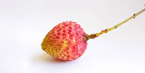 Güzel kırmızı lichi 'nin stüdyo görüntüsünü kapat.