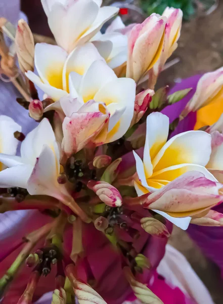 Güzel beyaz ve sarı çiçekleri tutan