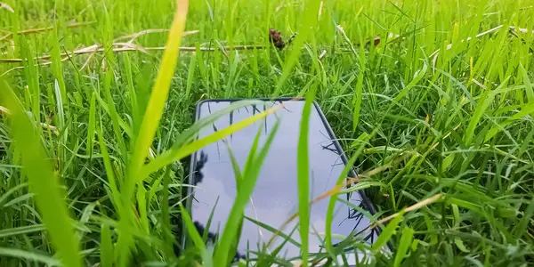  Çimlerin üzerinde cep telefonu