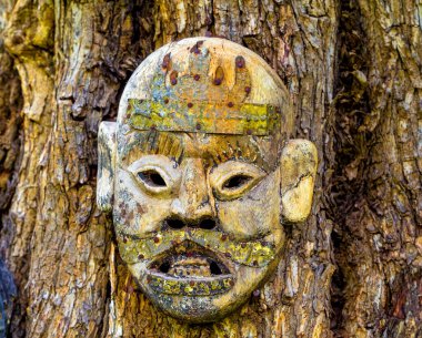 Marakeş yakınlarındaki güzel ve yaratıcı Anima Bahçesi 'nin ağaç gövdesine oyulmuş maske. Fas evrensel sanatçısı Andre Heller' ın flora ve sanat arasında eşsiz bir etkileşim var..