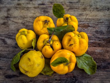 Kırsal ahşap bir masada organik sarı ayvalar..