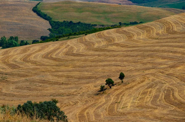 Une belle vue sur les collines de Toscane — Photo