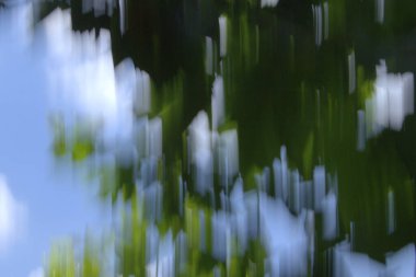 Yaratıcı bulanıklık tekniğiyle alınan dallar ve yapraklar