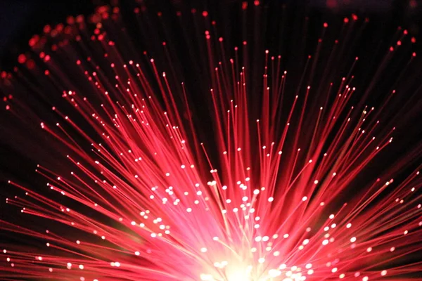 Fiber optik lamba müstehcen ışıklandırma efektleri üretir