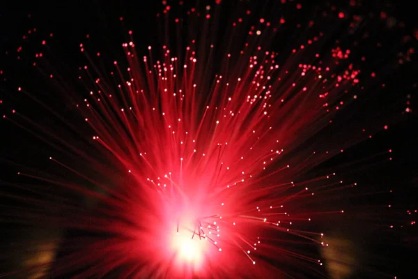 Fiber optik lamba müstehcen ışıklandırma efektleri üretir