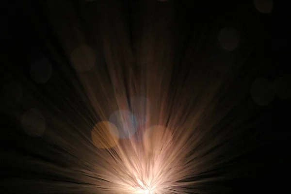 Fiber Optic Lamp Produces Suggestive Lighting Effects — Stock Photo, Image