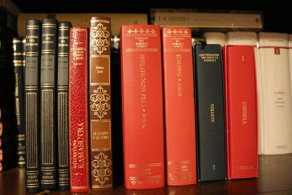 Biblioteca Visão Geral Dos Livros Clássicos — Fotografia de Stock
