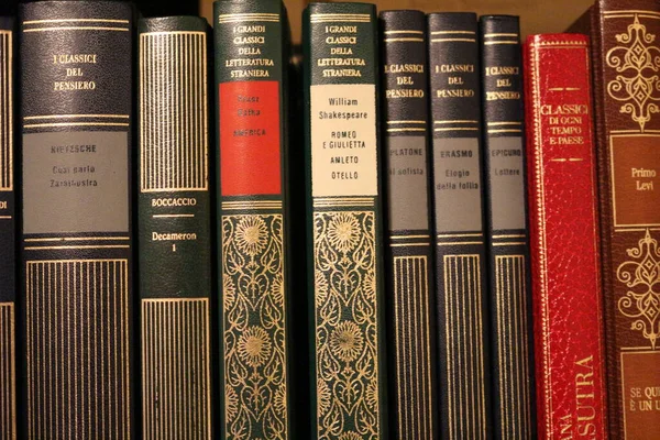 Бібліотека Огляд Класичних Книг — стокове фото