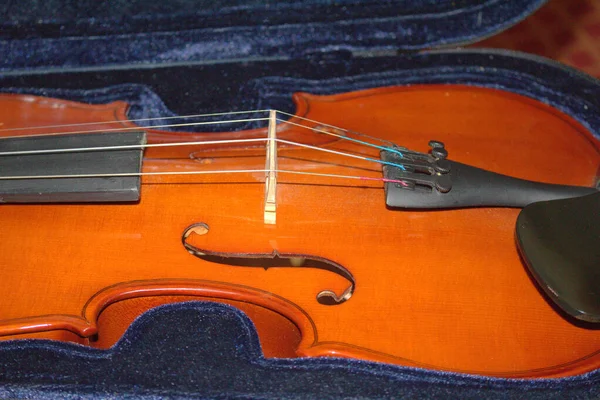 Violin Close Violin Details — Stock Photo, Image
