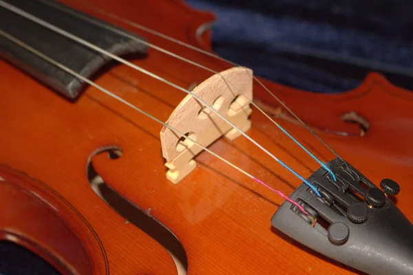 Geige Nahaufnahme Einer Geige Details — Stockfoto