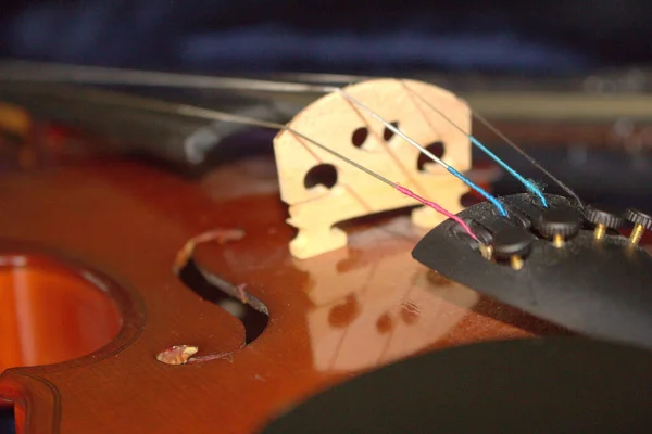 Violino Primo Piano Violino Dettagli — Foto Stock
